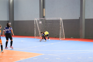 Foto - Xl JEPSSUL - 01/10