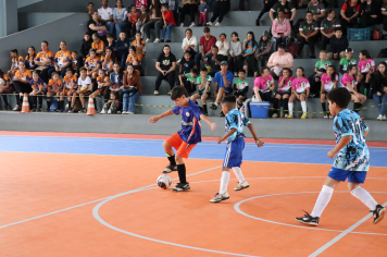 Foto - Xl JEPSSUL - 01/10