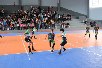 Foto - Xl JEPSSUL - 01/10