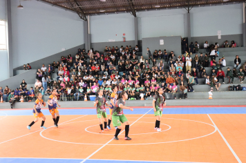 Foto - Xl JEPSSUL - 01/10