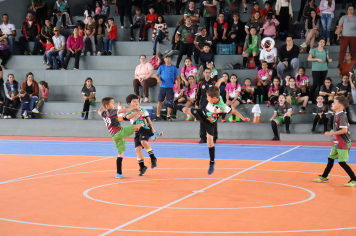 Foto - Xl JEPSSUL - 01/10