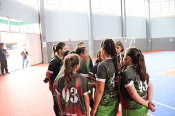 Foto - Xl JEPSSUL - 01/10