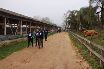 Foto - 1ª Caminhada Internacional no Circuito Cerro da Onça de Piraí do Sul foi sucesso