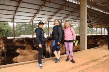 Foto - 1ª Caminhada Internacional no Circuito Cerro da Onça de Piraí do Sul foi sucesso