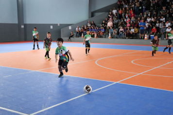 Foto - Xl JEPSSUL - 01/10