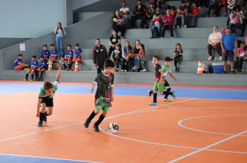 Foto - Xl JEPSSUL - 01/10