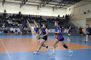 Foto - Xl JEPSSUL - 01/10