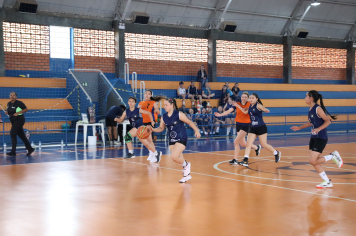 Foto - Xl JEPSSUL - 01/10