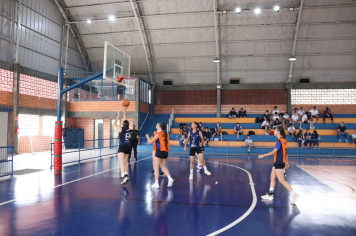 Foto - Xl JEPSSUL - 01/10