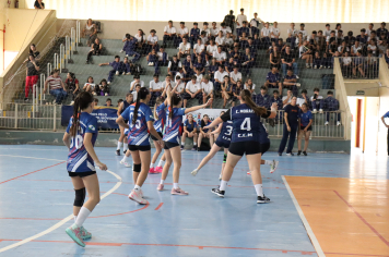 Foto - Xl JEPSSUL - 01/10