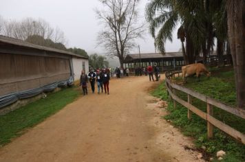 Foto - 1ª Caminhada Internacional no Circuito Cerro da Onça de Piraí do Sul foi sucesso