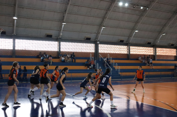 Foto - Xl JEPSSUL - 01/10