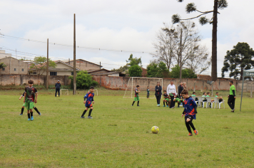 Foto - Xl JEPSUL - 02/10