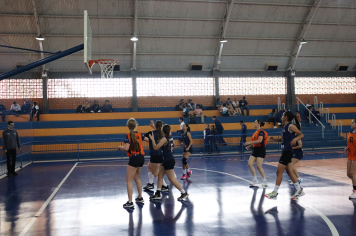 Foto - Xl JEPSSUL - 01/10