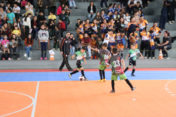 Foto - Xl JEPSSUL - 01/10