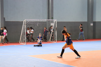 Foto - Xl JEPSSUL - 01/10