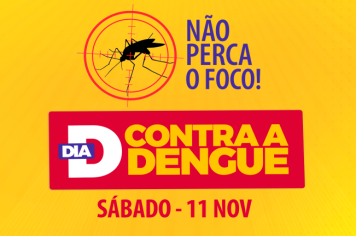 Prefeitura de Piraí do Sul prepara “Dia D Contra a Dengue”