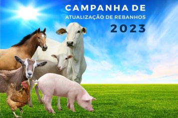 Campanha de atualização de rebanhos vai até o dia 30 de junho