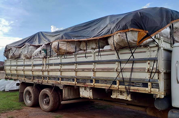 Secretaria de Agricultura recolheu embalagens vazias de agrotóxicos