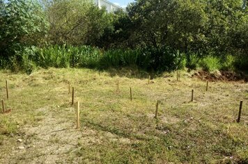 Grupo de Escoteiros plantou árvores nas margens do Rio Piraizinho