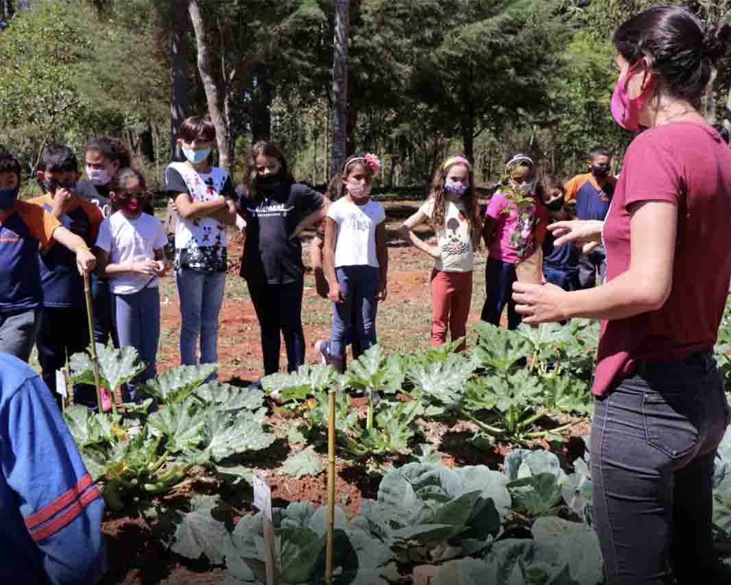 Floresta Nacional (FLONA/ICMBio) retoma a visitação escolar guiada a partir deste mês.