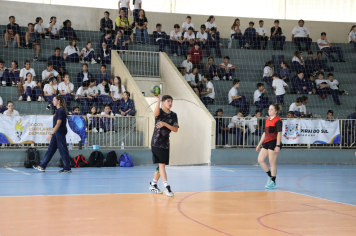 Foto - Xl JEPSSUL - 01/10