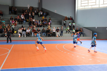 Foto - Xl JEPSSUL - 01/10