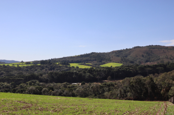 Foto - III CAMINHADA NA NATUREZA