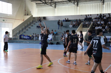 Foto - Xl JEPSSUL - 01/10