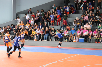 Foto - Xl JEPSSUL - 01/10