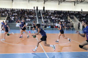 Foto - Xl JEPSSUL - 01/10