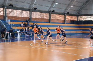 Foto - Xl JEPSSUL - 01/10