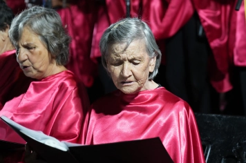 Foto - NATAL ENCANTADO DIA 22