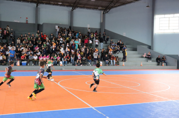 Foto - Xl JEPSSUL - 01/10