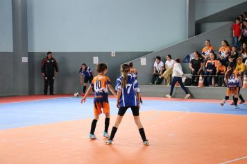 Foto - Xl JEPSSUL - 01/10