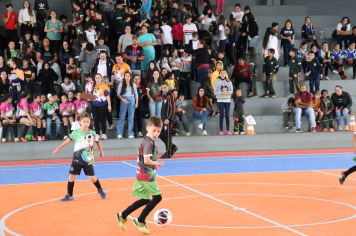 Foto - Xl JEPSSUL - 01/10