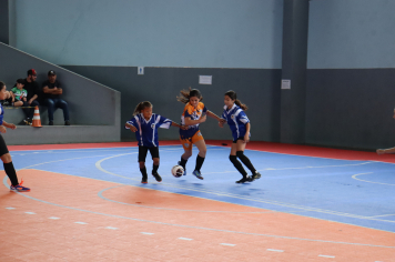 Foto - Xl JEPSSUL - 01/10