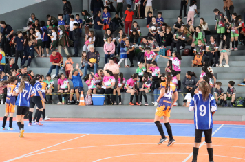 Foto - Xl JEPSSUL - 01/10