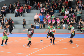 Foto - Xl JEPSSUL - 01/10