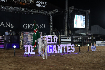 Foto - 4º Piraí Rodeo Fest - Gian e Giovani