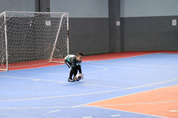 Foto - Xl JEPSSUL - 01/10