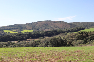 Foto - III CAMINHADA NA NATUREZA