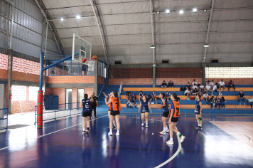 Foto - Xl JEPSSUL - 01/10