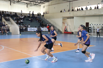 Foto - Xl JEPSSUL - 01/10