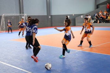 Foto - Xl JEPSSUL - 01/10