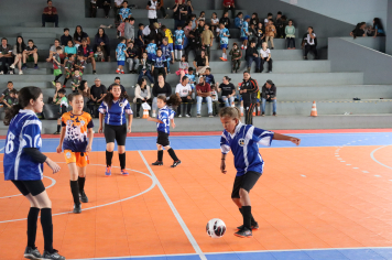 Foto - Xl JEPSSUL - 01/10