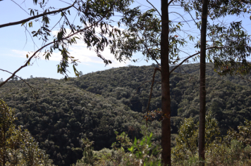 Foto - III CAMINHADA NA NATUREZA