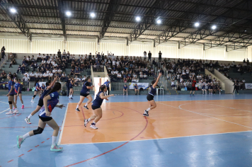 Foto - Xl JEPSSUL - 01/10