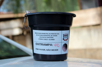 Secretaria de Saúde inicia instalação de armadilhas ovitrampas para monitorar a reprodução do mosquito da dengue